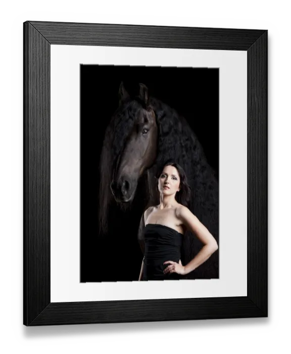 Framed Print : Friesian or Frisian horse breed with young woman