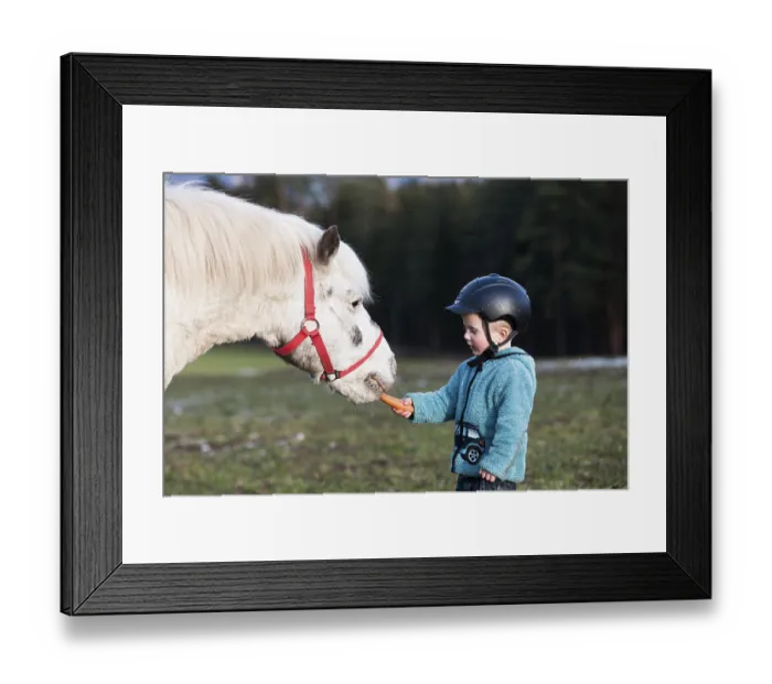 Framed Print : Young child wearing a riding helmet feeding a pony Framed Print : Young child wearing a riding helmet feeding a pony