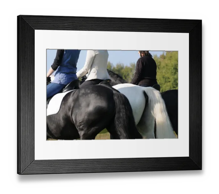 Framed Print : Cross country, Friesian, German Warmblood Framed Print : Cross country, Friesian, German Warmblood