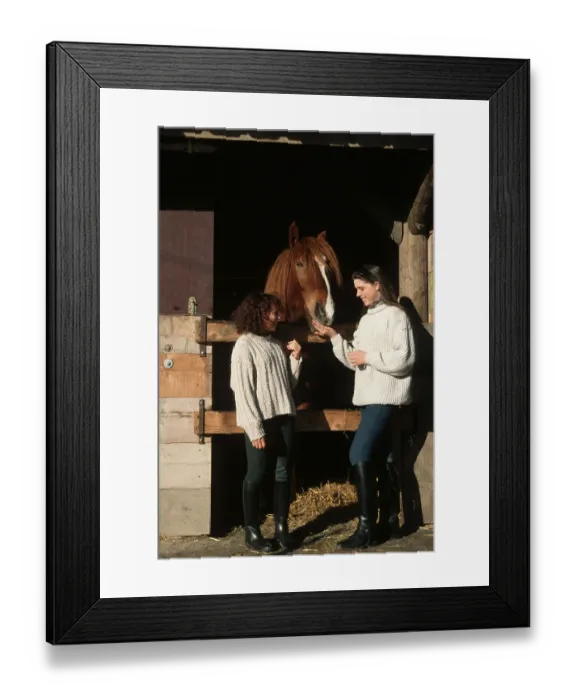 Framed Print : Girl and south german coldblood horse