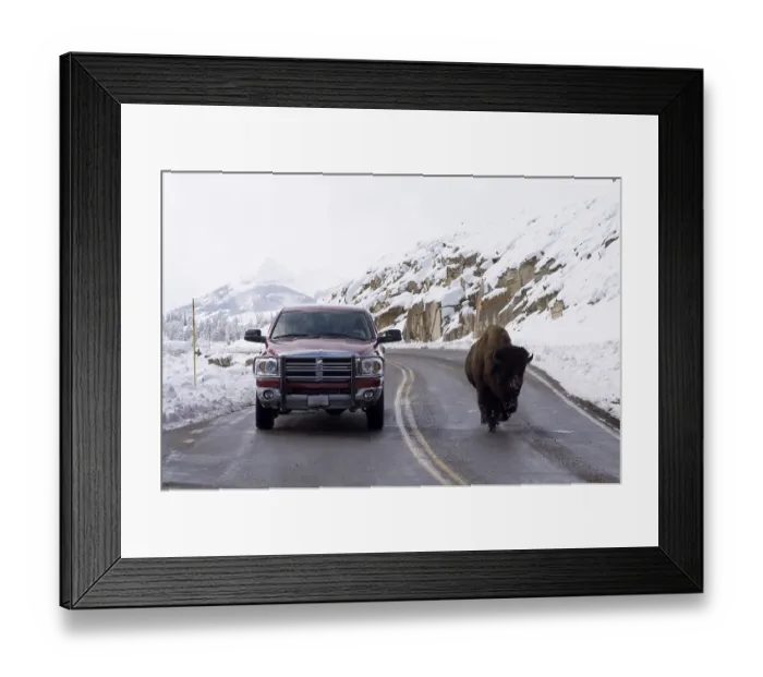 Framed Print : Road, Golden Gate Canyon, snow