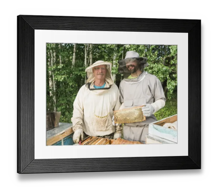 Framed Print : Portrait of two male beekeeper working in an apiary near beehives with bees