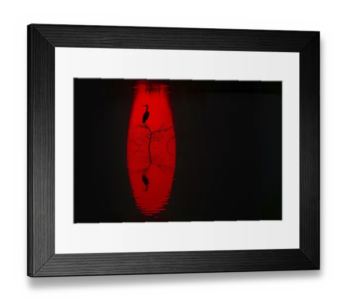 Framed Print : A striking silhouette of a heron perched on a tree against a vibrant red background reflected in water of sun at sunset
