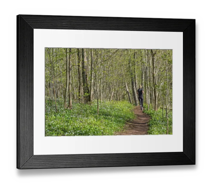 Framed Print : Peaceful forest scene with a young woman jogging along a path surrounded by fresh spring greenery with bright green Framed Print : Peaceful forest scene with a young woman jogging along a path surrounded by fresh spring greenery with bright green
