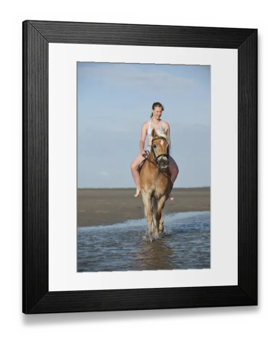 Framed Print : Woman riding bareback on a Haflinger horse on the beach Framed Print : Woman riding bareback on a Haflinger horse on the beach