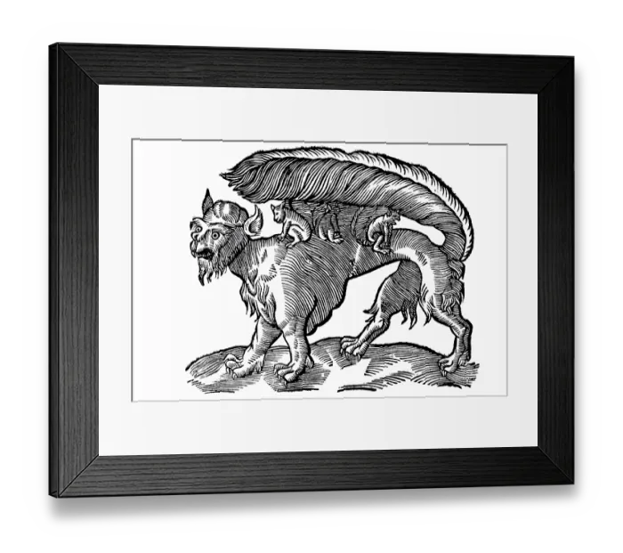 Framed Print : Woodcut, monster with bushy tail Framed Print : Woodcut, monster with bushy tail