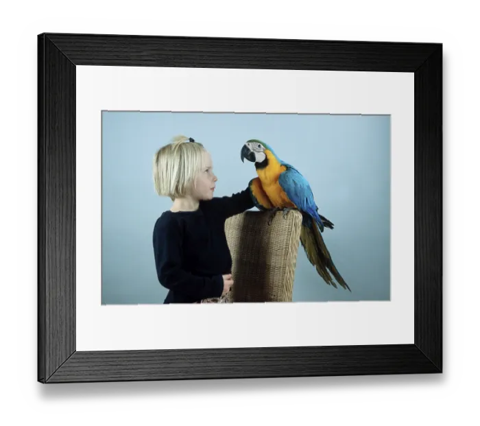 Framed Print : Girl with blue and yellow macaw (Ara ararauna)