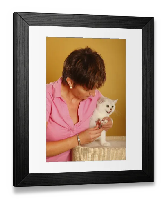 Framed Print : Woman and British shorthair cat