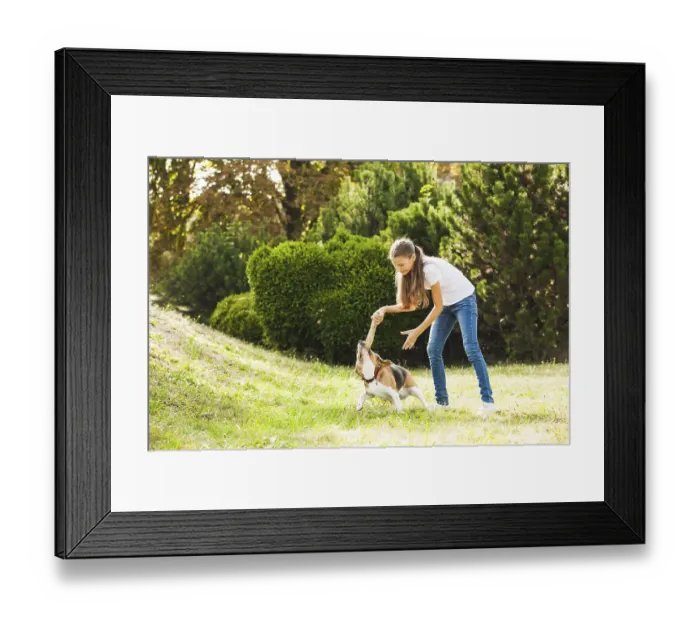Framed Print : Funny girl throwing stick for active beagle dog in the park Framed Print : Funny girl throwing stick for active beagle dog in the park