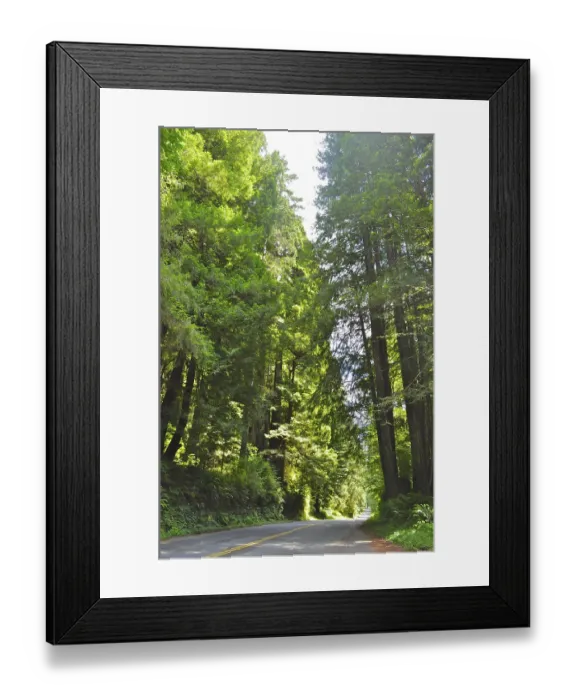 Framed Print : Sunlit road through a dense green forest