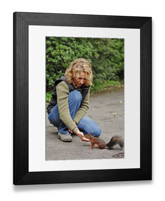 Framed Print : Woman feeding Red Squirrel (Sciurus vulgaris) Framed Print : Woman feeding Red Squirrel (Sciurus vulgaris)
