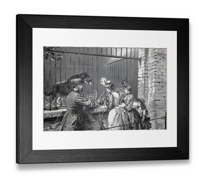 Framed Print : In the Berlin Zoological Garden Framed Print : In the Berlin Zoological Garden