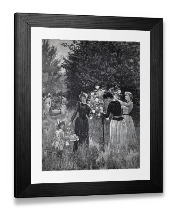 Framed Print : Several woman cut rose petals from a rose bush to extract rose water Framed Print : Several woman cut rose petals from a rose bush to extract rose water