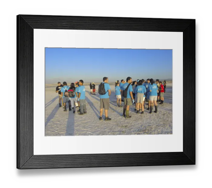 Framed Print : Putting rings and taking measures of Greater Flamingo chick (Phoenicopterus ruber) Framed Print : Putting rings and taking measures of Greater Flamingo chick (Phoenicopterus ruber)