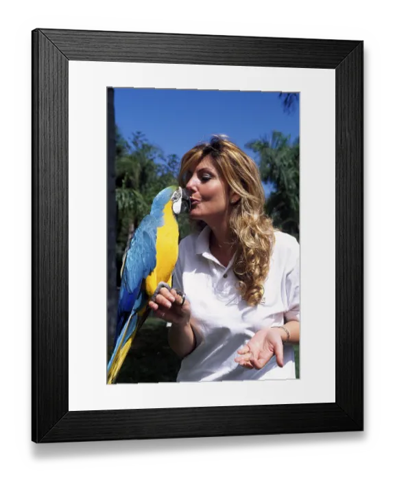 Framed Print : Parrot show in Loro Park, Puerto de la Cruz