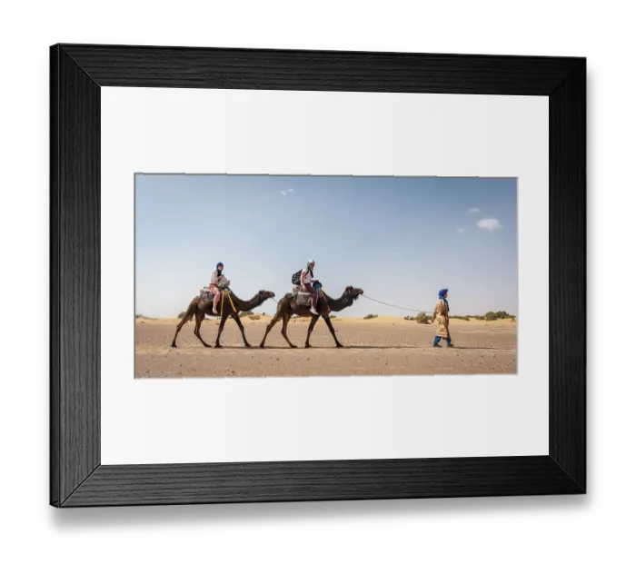 Framed Print : Caravan with dromedaries (Camelus dromedarius) Framed Print : Caravan with dromedaries (Camelus dromedarius)