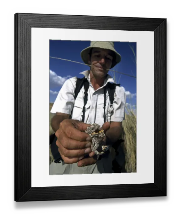 Framed Print : Man holding a chameleon, Tok Tokkie Trail