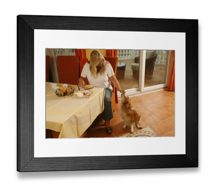 Framed Print : Woman with mixed-breed dog, dog begging at table Framed Print : Woman with mixed-breed dog, dog begging at table