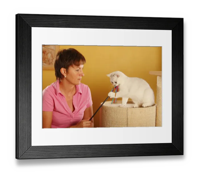 Framed Print : Woman and British shorthair cat