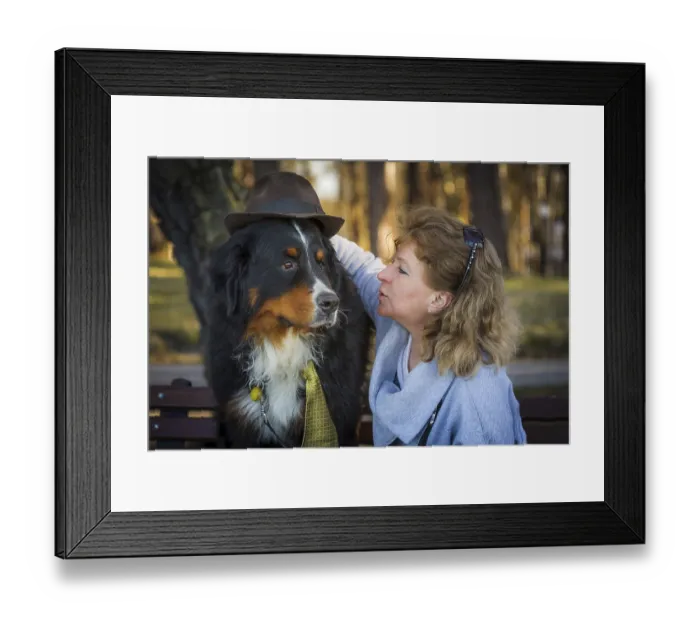 Framed Print : Woman with bernese mountain dog on nature Framed Print : Woman with bernese mountain dog on nature