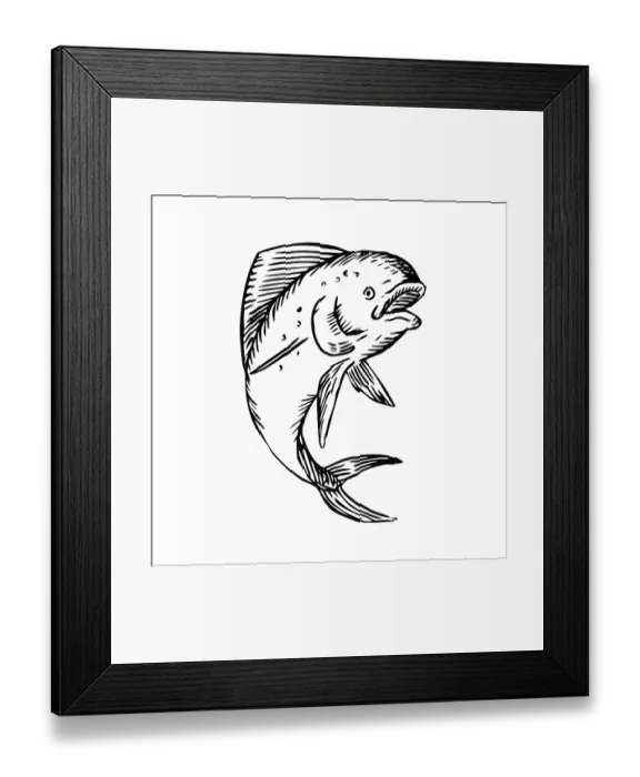 Framed Print : Black and White Etching engraving handmade style illustration of a mahi-mahi Framed Print : Black and White Etching engraving handmade style illustration of a mahi-mahi