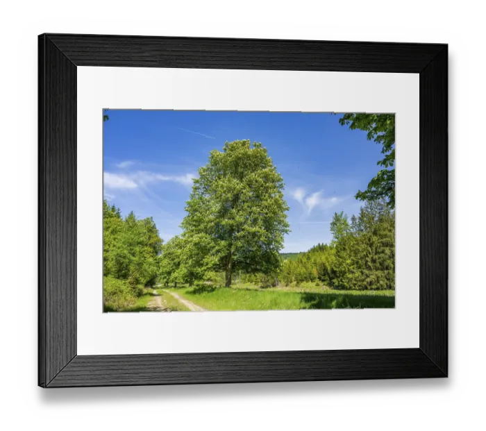 Framed Print : Hiking trail going through the landscape beside a forest next to a meadow old hunts by Turn Framed Print : Hiking trail going through the landscape beside a forest next to a meadow old hunts by Turn