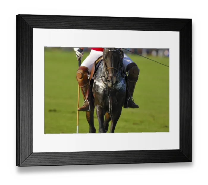 Framed Print : Polo player, Polo tournament, Berenberg High Goal Trophy 2007 Framed Print : Polo player, Polo tournament, Berenberg High Goal Trophy 2007