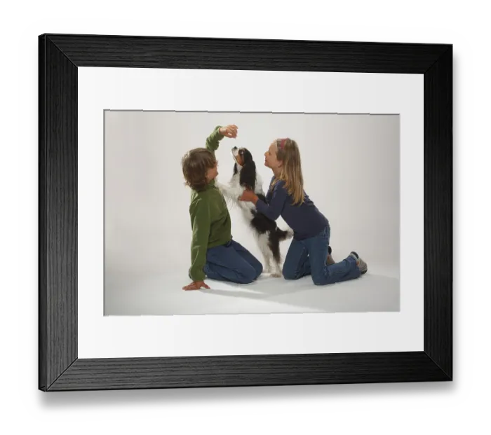 Framed Print : Children with Cavalier King Charles Spaniel Framed Print : Children with Cavalier King Charles Spaniel