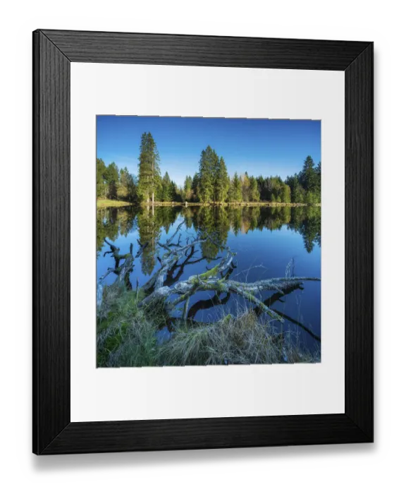 Framed Print : Small lake in the Thuringian Forest under blue sky