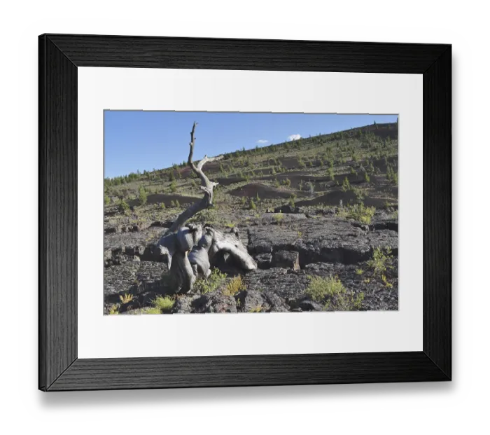 Framed Print : Dead tree trunk on dark volcanic landscape