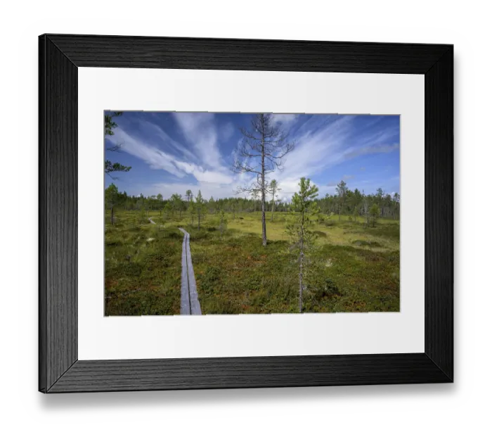 Framed Print : A wooden path snakes through an open moor landscape under dramatic skies