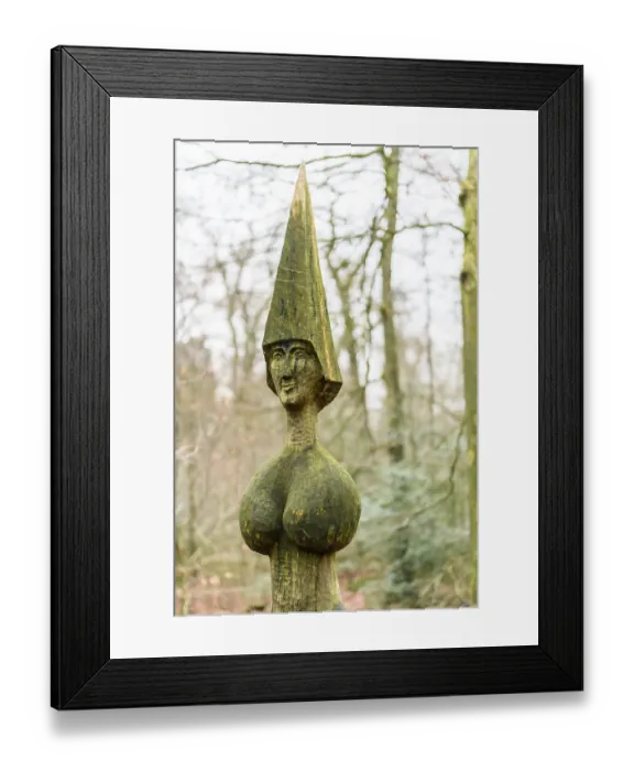 Framed Print : Artistic wooden sculpture with the name Gaia's daughter by artist Wolf E