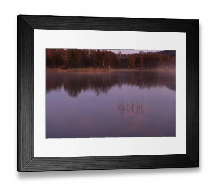 Framed Print : Quiet evening mood at the lake with reeds in the foreground and red sunset Framed Print : Quiet evening mood at the lake with reeds in the foreground and red sunset