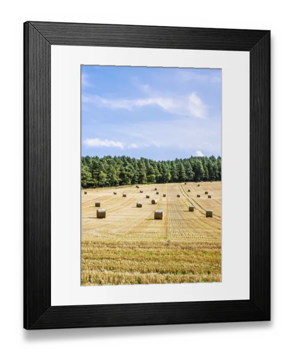 Framed Print : Straw bales in the Scottish fields Framed Print : Straw bales in the Scottish fields