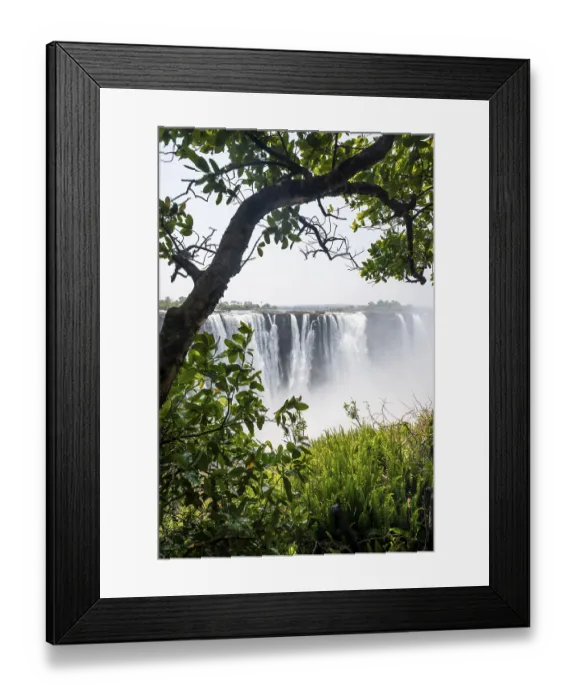 Framed Print : Water plunges into the depths, Victoria Falls with jungle and green plants