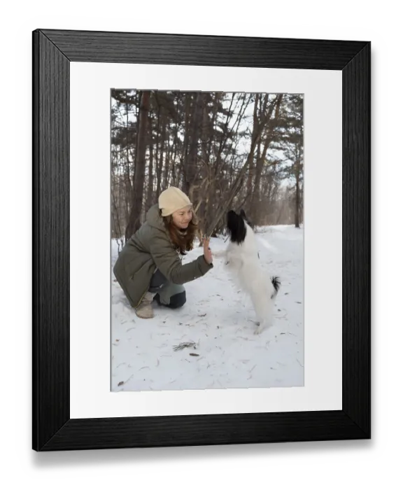 Framed Print : A woman kneels on a snowy path giving a high five to her purebred Papillon dog Framed Print : A woman kneels on a snowy path giving a high five to her purebred Papillon dog