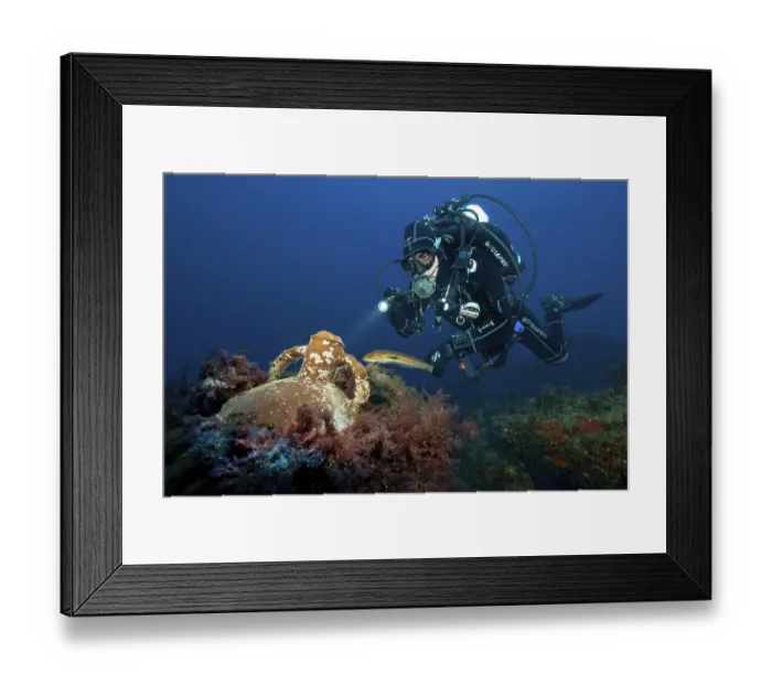 Framed Print : Divers and ancient amphora, Mediterranean Sea Framed Print : Divers and ancient amphora, Mediterranean Sea
