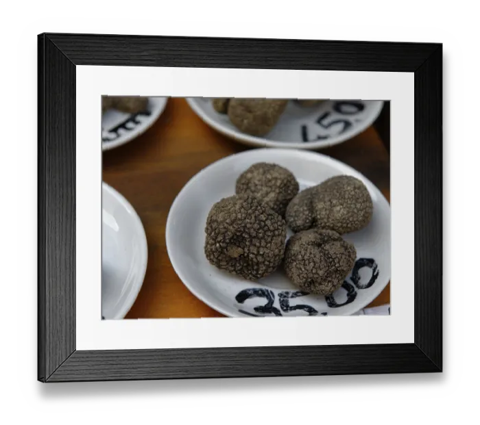 Framed Print : Black truffles in delicatessen shop Framed Print : Black truffles in delicatessen shop