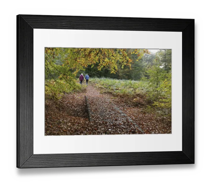 Framed Print : Two woman walking in the forest, Germany
