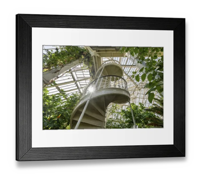Framed Print : Cast-iron spiral staircase, Temperate House