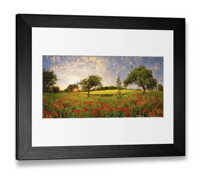 Framed Print : Poppyflower meadow with fruit trees and clouds of sheep Sky at sunset Framed Print : Poppyflower meadow with fruit trees and clouds of sheep Sky at sunset