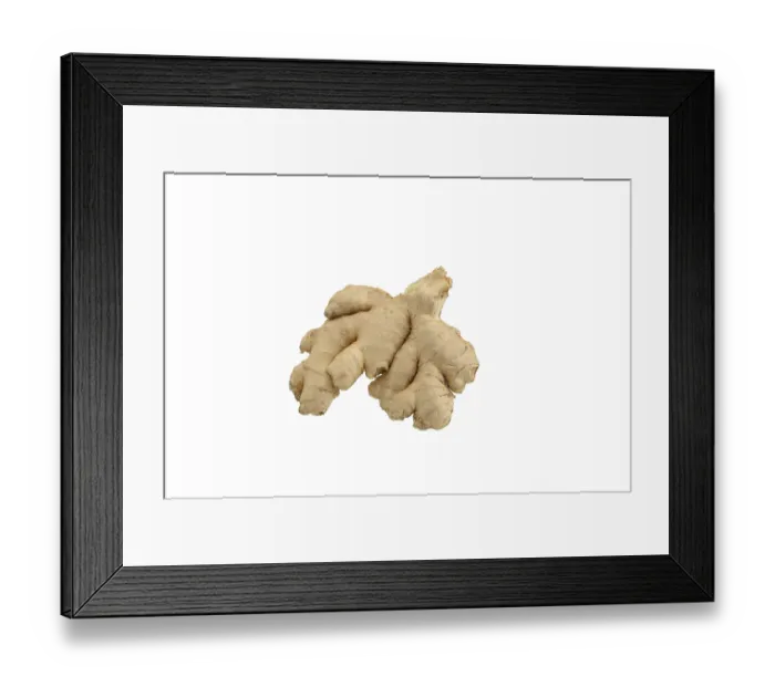 Framed Print : Ginger (Zingiber officinale), cropped