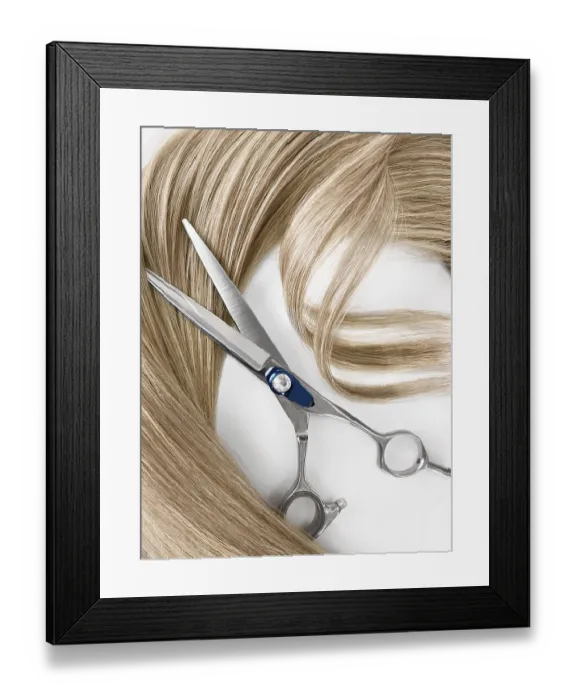 Framed Print : A strand of blond hair with scissors on a white background