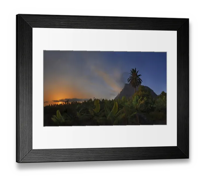 Framed Print : Banana plantation at sunset in the fertile valley of Valle Gran Rey