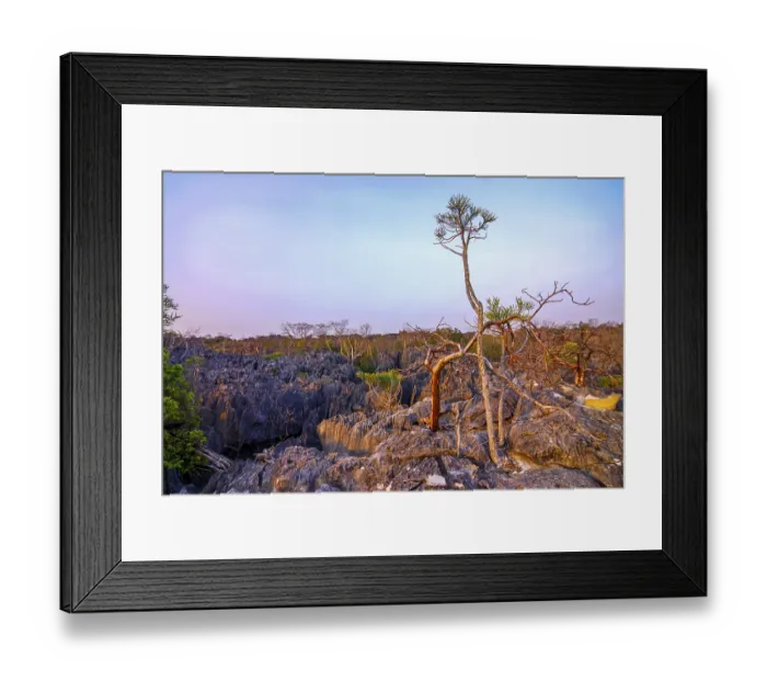 Framed Print : Unesco world heritage sight Tsingy de Bemaraha Strict Nature Reserve Framed Print : Unesco world heritage sight Tsingy de Bemaraha Strict Nature Reserve