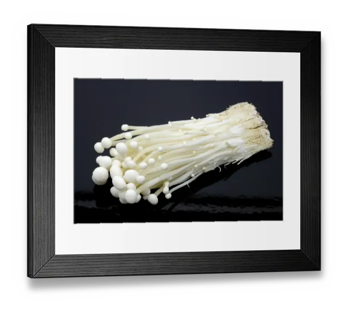 Framed Print : Flammulina, Syn Collybia velutipes