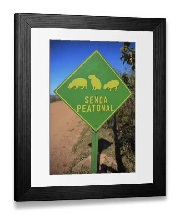 Framed Print : Sign Beware of Capybaras (Hydrochoerus hydrochaeris) Framed Print : Sign Beware of Capybaras (Hydrochoerus hydrochaeris)