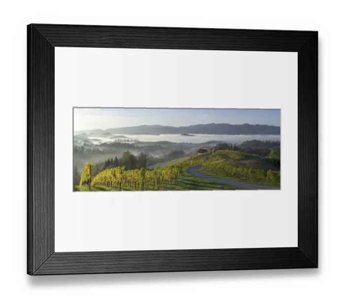 Framed Print : Vineyard in the morning mist, Fotschach Framed Print : Vineyard in the morning mist, Fotschach