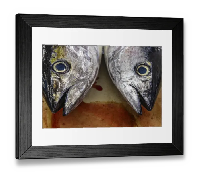 Framed Print : Fish on display at the fish market in Mutrah