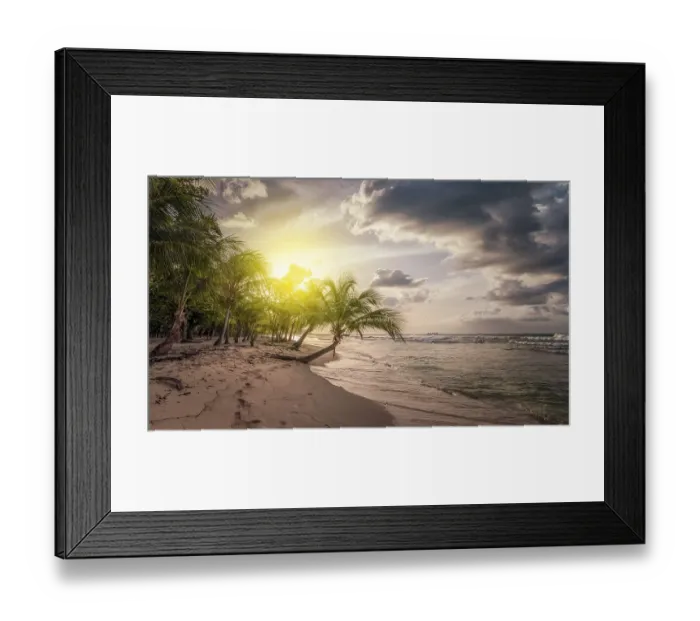 Framed Print : Lonely coconut palm tree on a Pearl beach near village of Deshaies Framed Print : Lonely coconut palm tree on a Pearl beach near village of Deshaies
